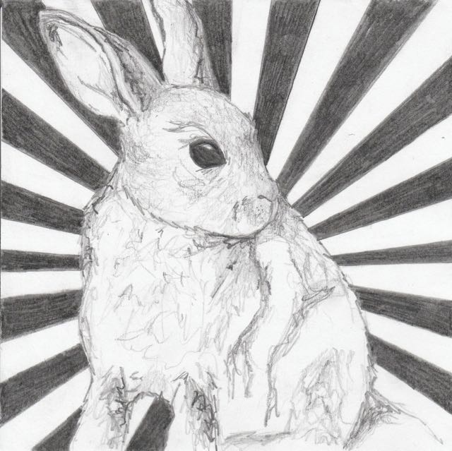 frankjuarez_rabbit (1)