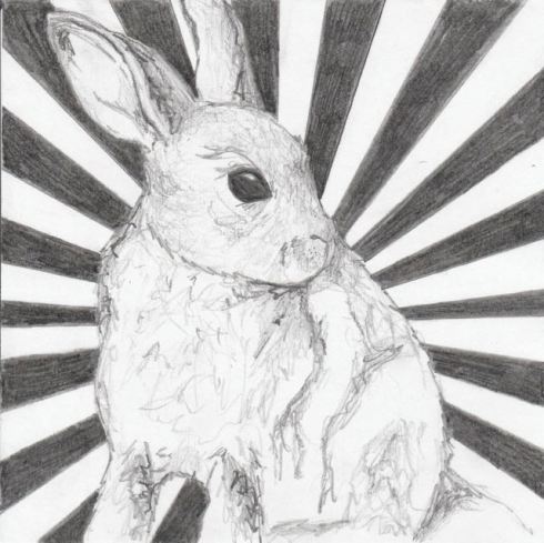frankjuarez_rabbit (1)